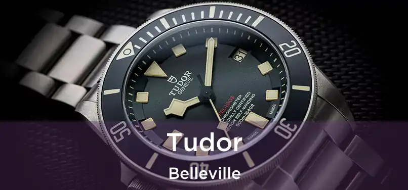  Tudor Belleville